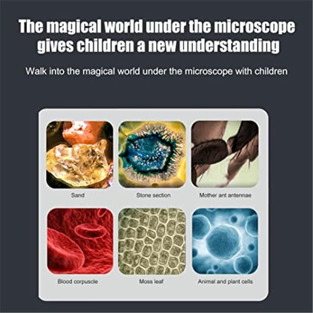 Mini Pocket Microscope 60-120x for Kid Laboratory Handheld Microscope ...