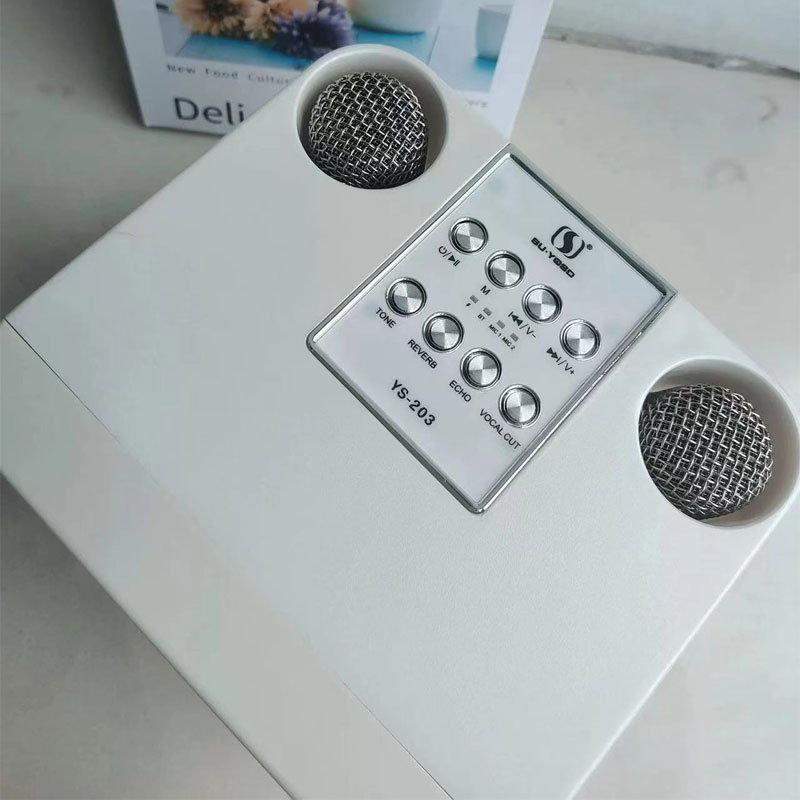 3D Stereo Amplifier Wireless Speaker Portable Karaoke Bluetooth Speaker ...