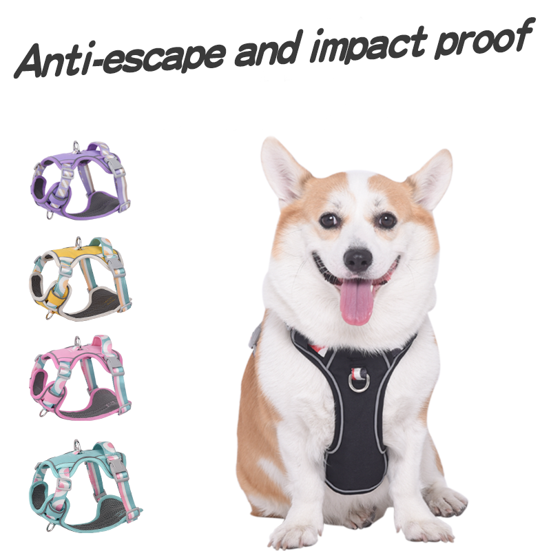 View of Comfort-Fit & Secure Dog Harness: Heavy-Duty Chest Vest for Easy Walks ...