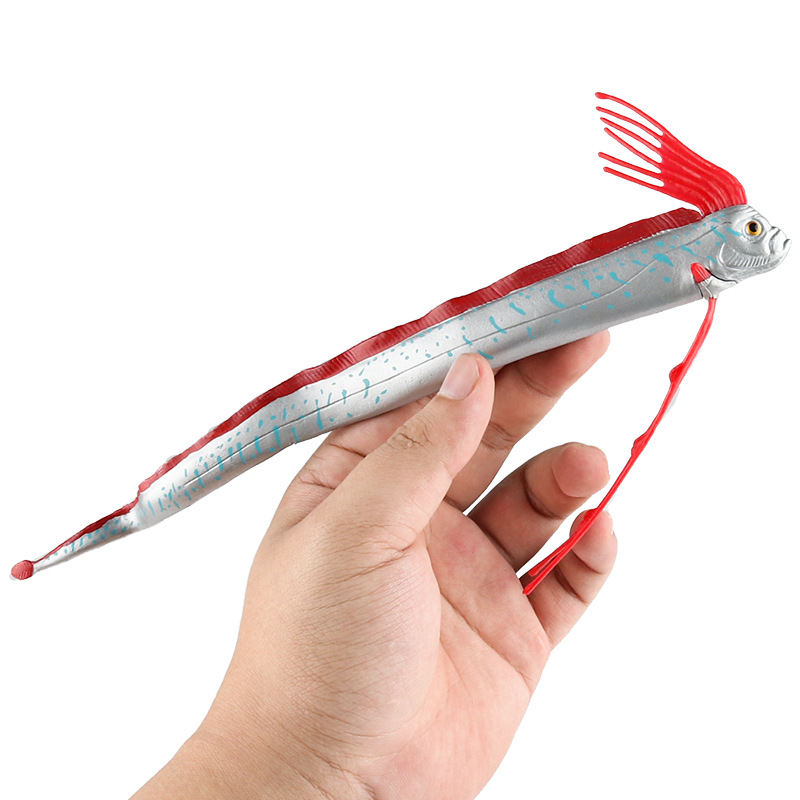 Marine Organisms Oarfish Sea Serpent Earthquake Fish Scientific Model ...