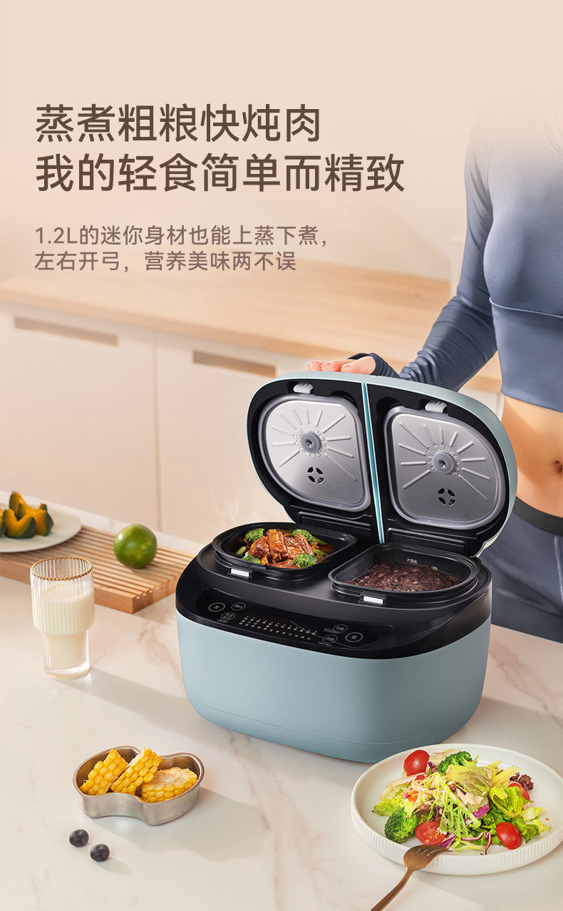 Lexcook Smart Double Gallbladder Rice Cooker Multi-functional Electric ...