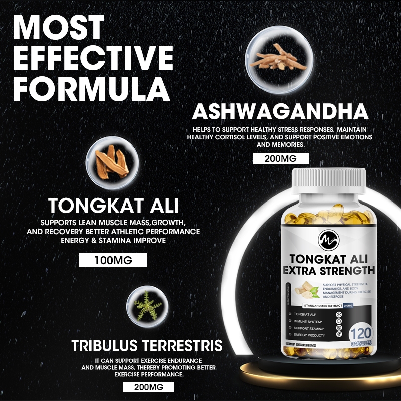 Minch Tongkat Ali Capsule Extract Ginseng Root for Enhancing Function