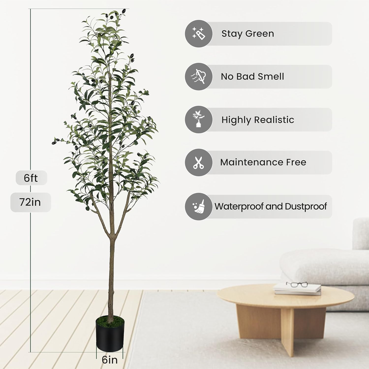 Olive Tree Height And Spread : How Big Do Olive Trees Grow? – IFKUCG