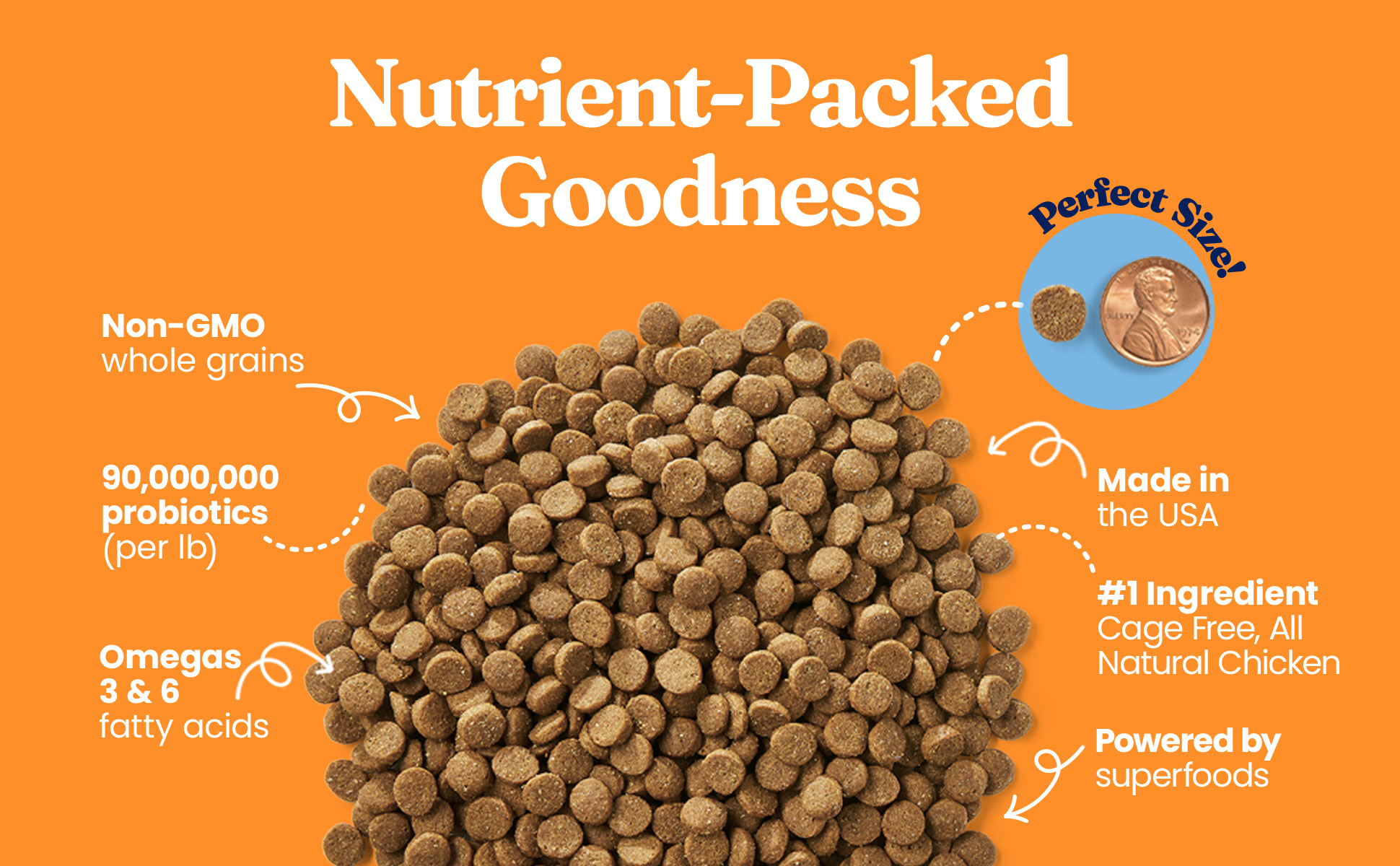 SolidGold High Protein Dry Cat Food with Digestive Probiotics Grain ...