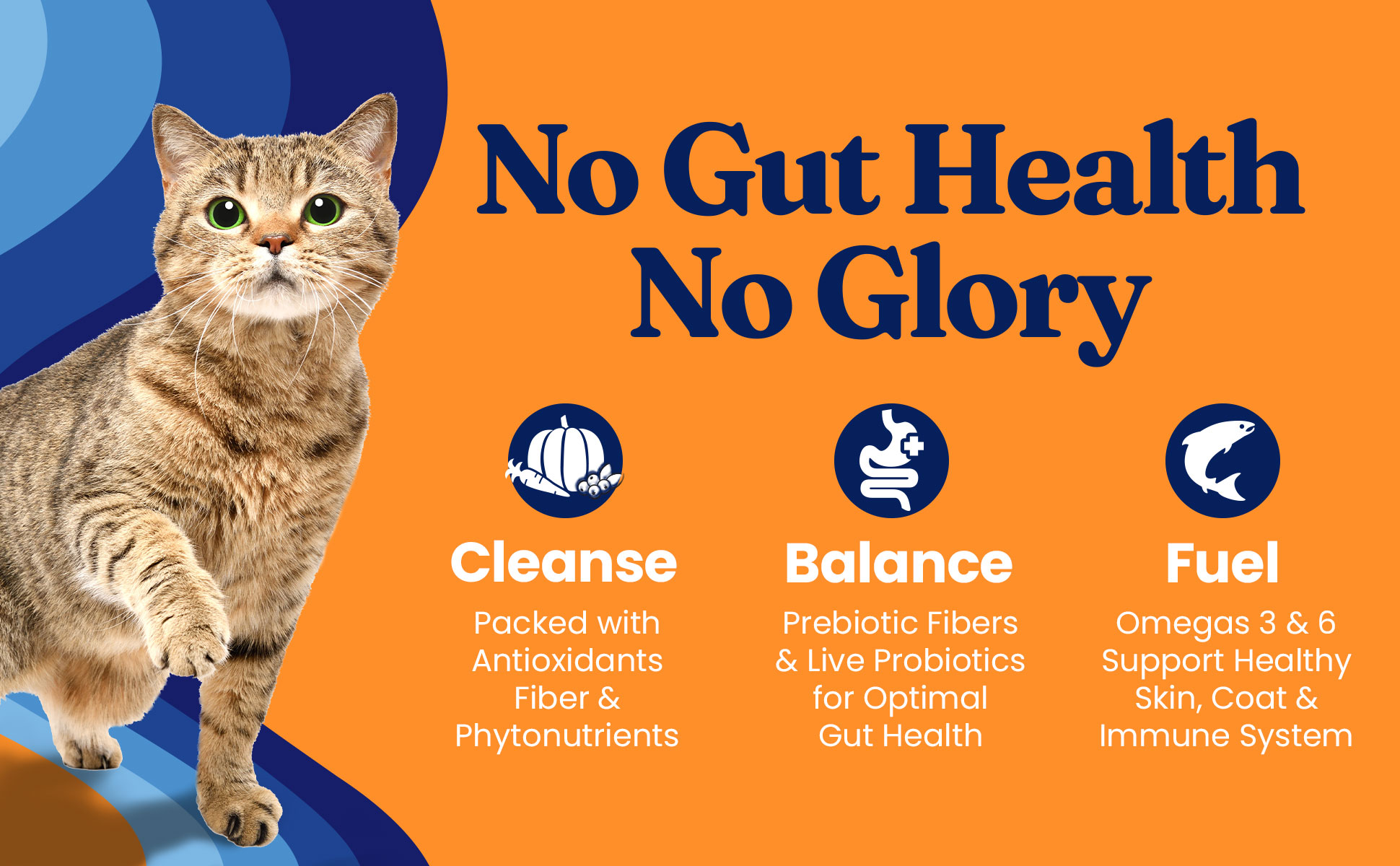 SolidGold High Protein Dry Cat Food with Digestive Probiotics Grain ...