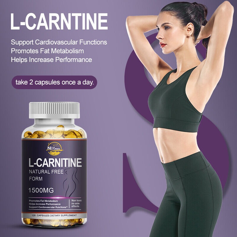 what is l carnitine and what does it do ESSM 2025 Insights: Nutraceuticals and Erectile Dysfunction