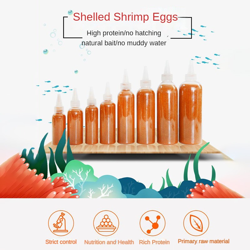 100% Artemia/brine Gamberetti – Uova Decapsulate / Uova