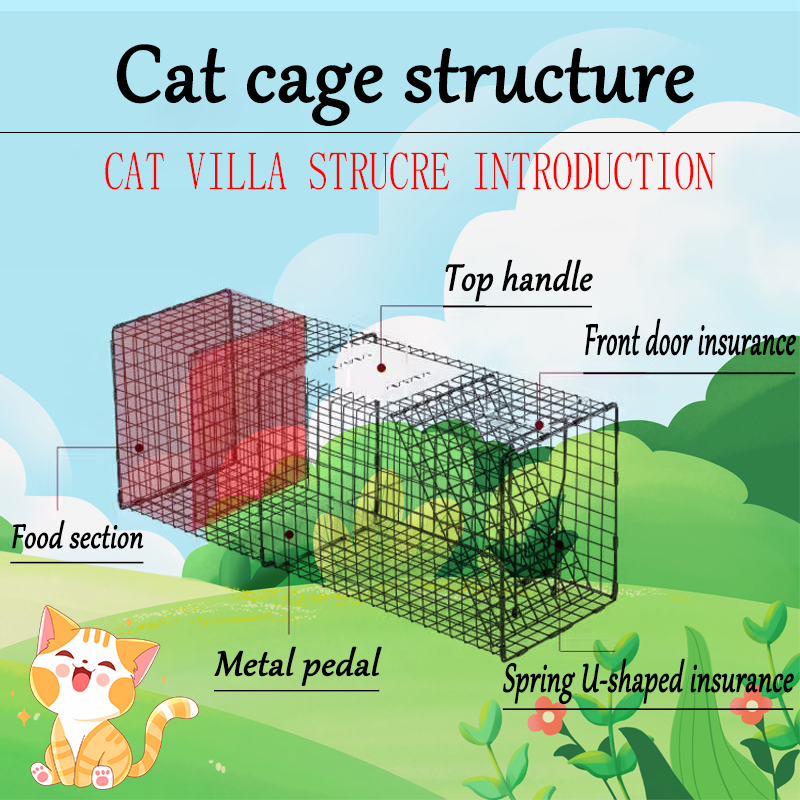 Cat cage foldable trap catcher rescue anti-corrosion and rust ...