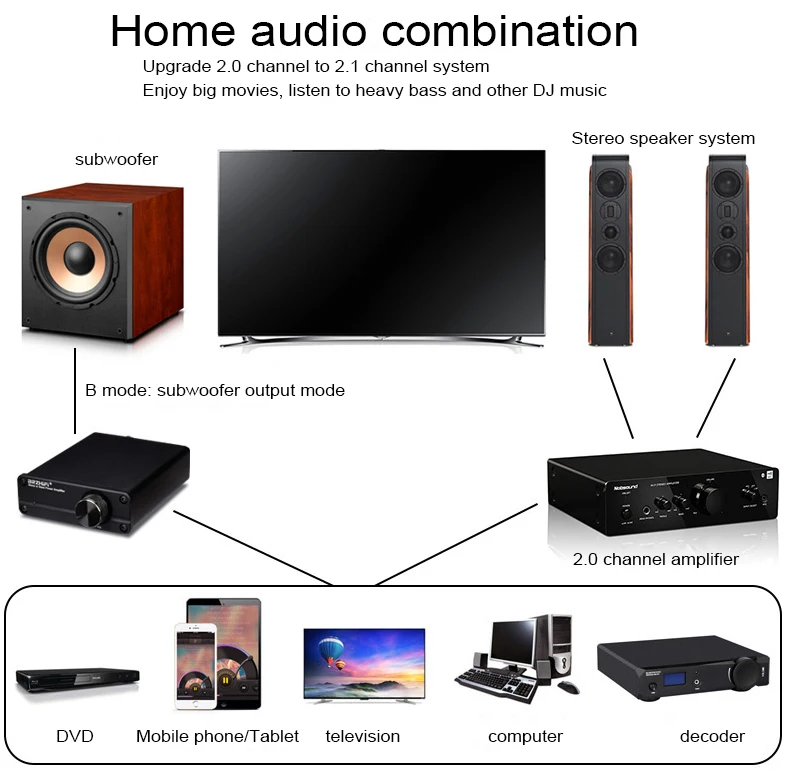 100W Mono TPA3116 Digital Amplifier Subwoofer Home Theater Class D