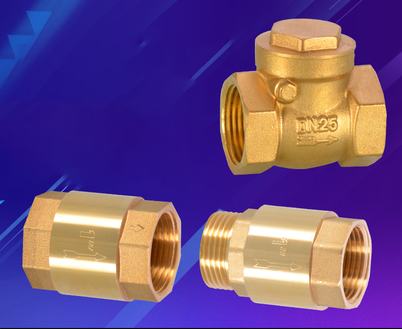 Heavy Brass Non Return Valve Vertical Check Spring One-way Check Water ...