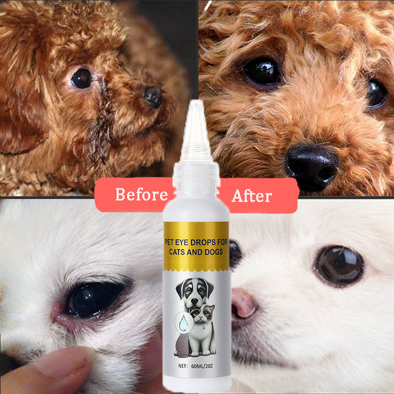 Gentamicin Pet Eyes Drop for Cat and Dog Pet Eye Infection Cataract ...