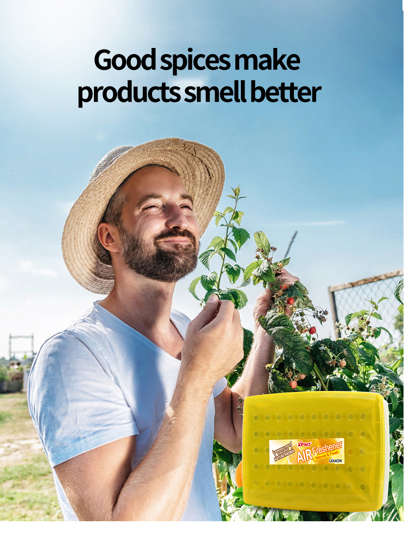 Strawberry Fragrance Flavor Car air Freshener Plant Extact Balm Long ...