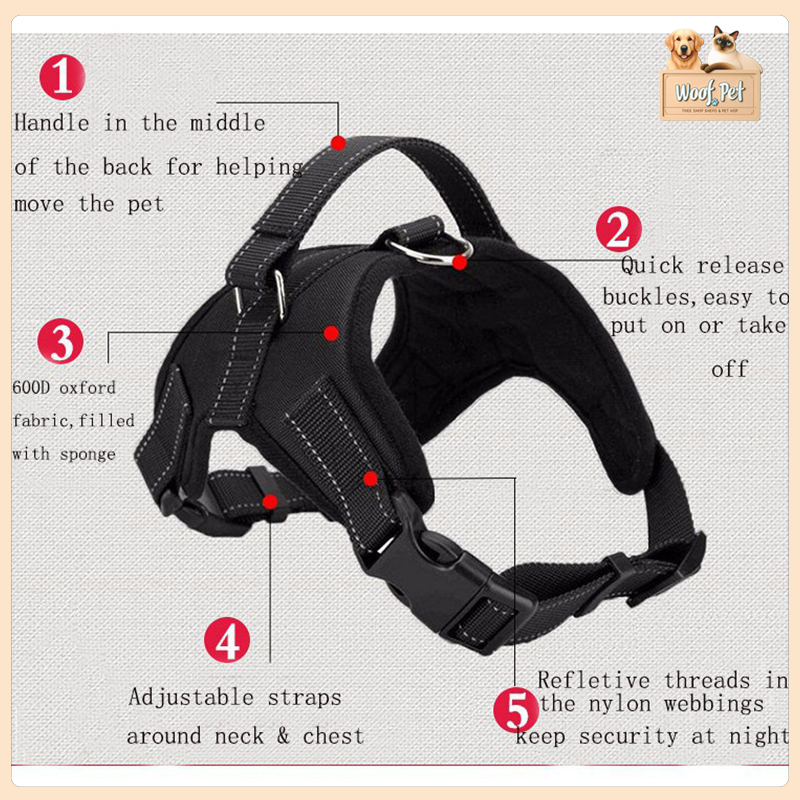 Breathable Dog Harness and Leash Adjustable Collar Leash Dog Leads for