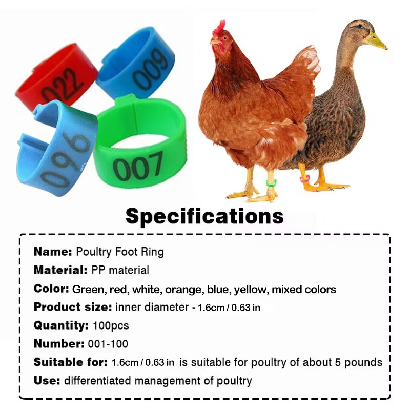 50/100Pcs Chicken Foot RingMultiple Color Gamefowl legband ring Chicken ...