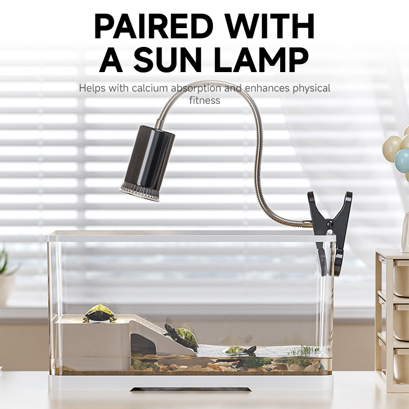 Photo inspiration: Gallery Detail: Turtle Tank Kit Desk Aquarium Set 360 Aquarium Turtle Tank
