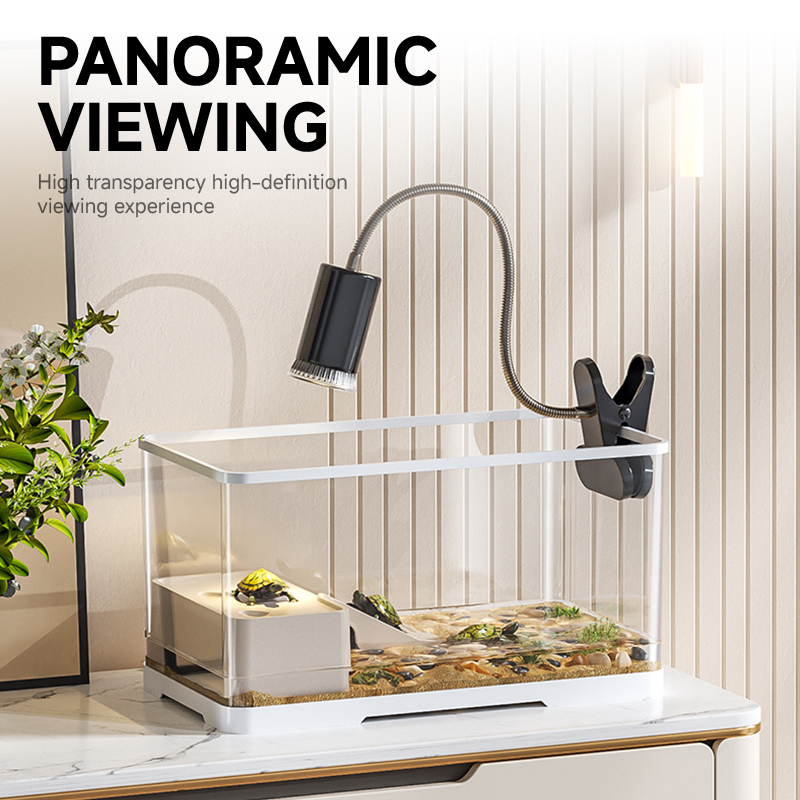 Gallery image with a fresh perspective