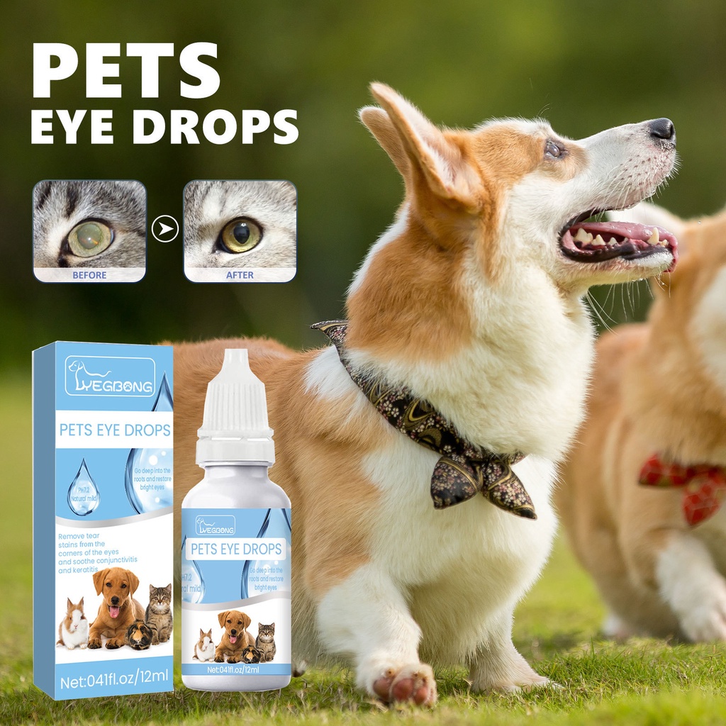 12ml Cataract Drops for Dogs, Dog cat Eye Drops, Effective Dog cat Eye