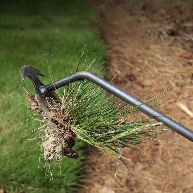 4-tooth Weeding Digging Vegetable Digging Tool Loose Soil Rooting ...
