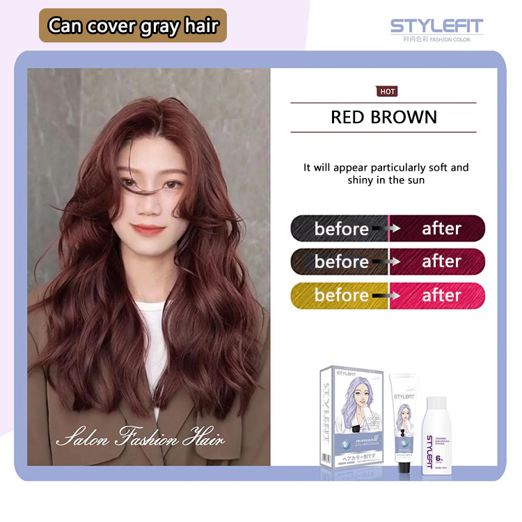 STYLEFIT Hair color Milk tea ash+ash brown no bleaching required 100ml ...