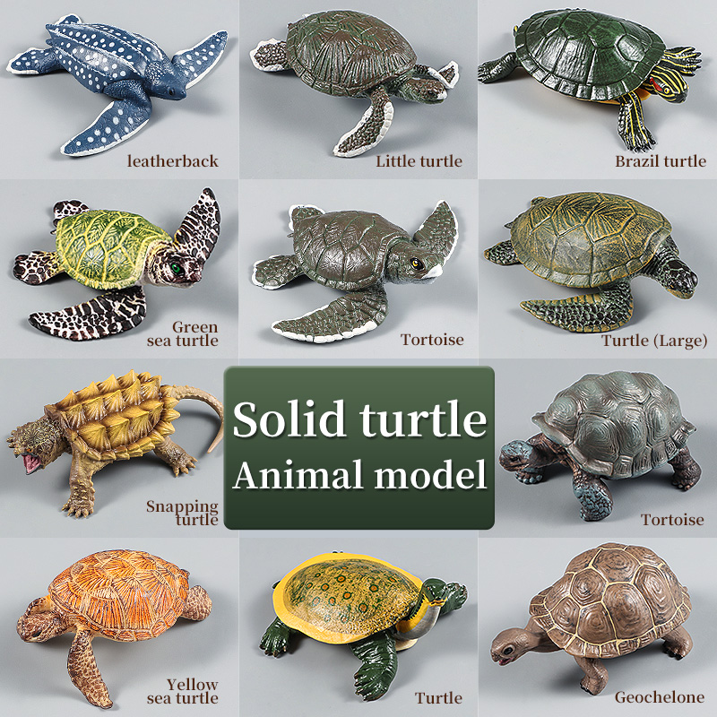 Ocean Animals Leatherback Tortoise Turtle Growth Cycle Sea Life Model ...