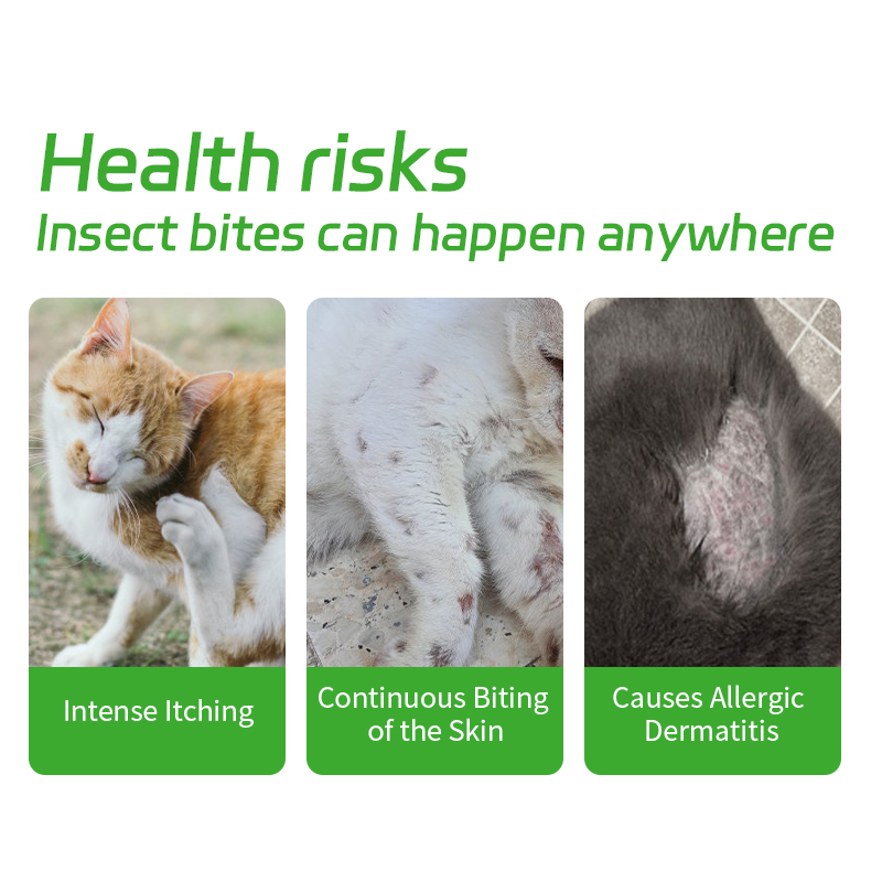 Xvet Dr Repel Flea Lice Mosquitoe Cat Flea Dog Fleas Ticks Lices Plant