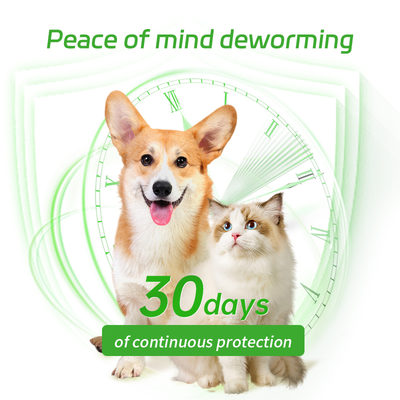 Xvet Dr Repel Flea Lice Mosquitoe Cat Flea Dog Fleas Ticks Lices Plant