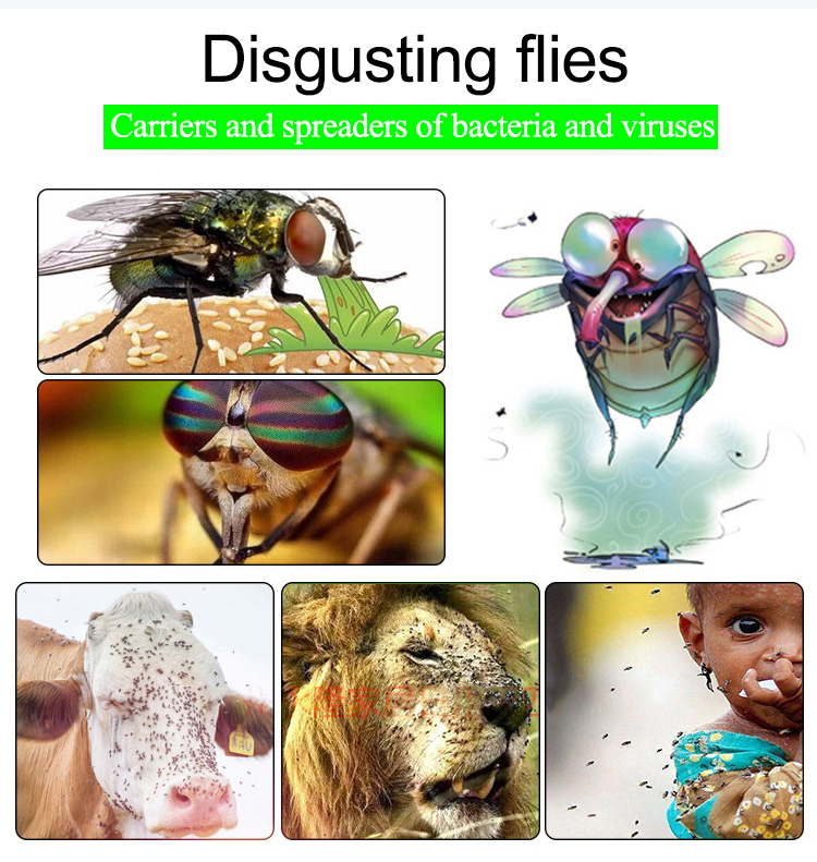 Fly Killing Bait Powder Fly Killer 100% Fly Killing Rate Non-toxic ...