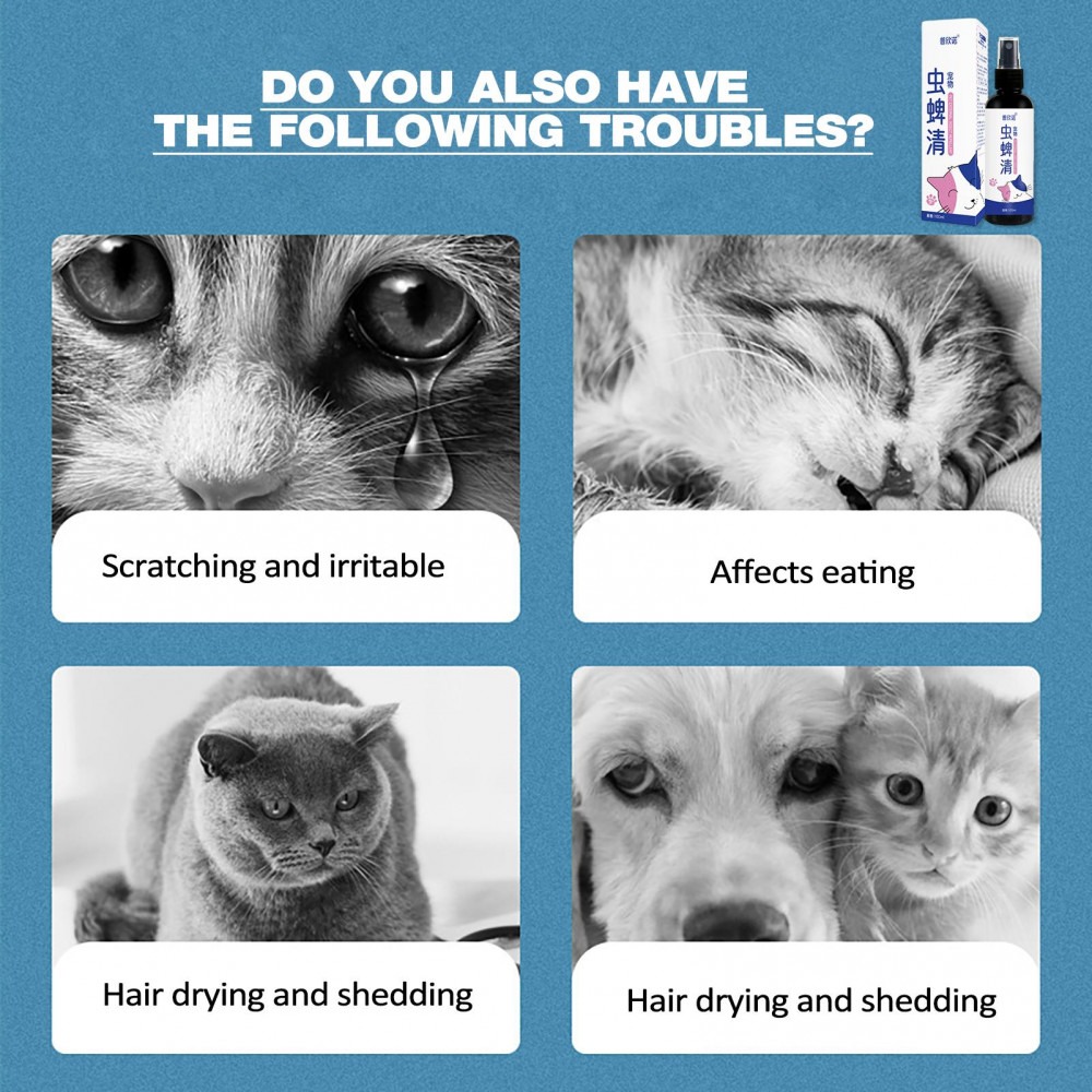 Buy 1 Take 1 Tick And Flea Killer 100Ml Pet Photo Inspiration
