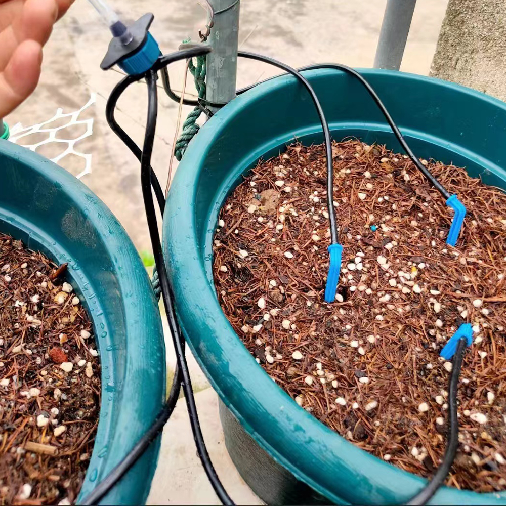 4 Arrow Drippers Set For Fruit trees Garden Flowers Watering