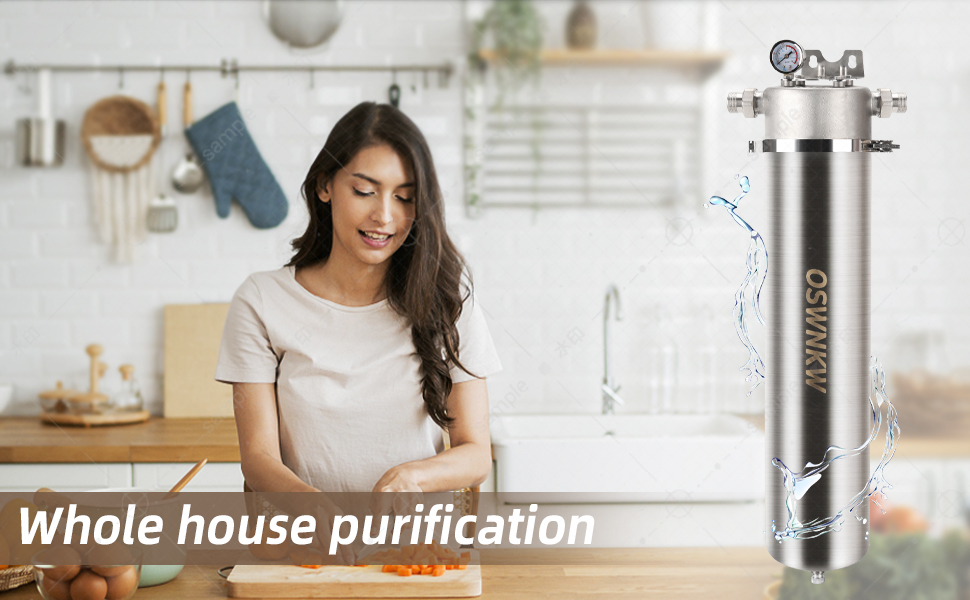 OSWNKW06 Whole House High Flow Water Filter, High Iodine Coconut Shell