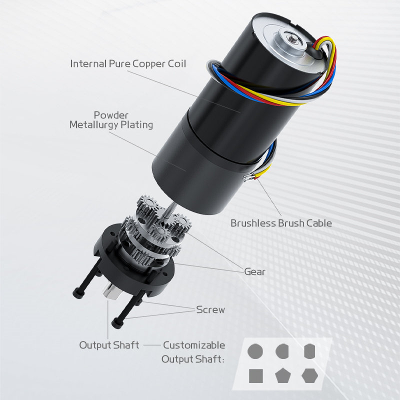 36GP3650 Brushless DC Motor 12V24V High Torque Forward And