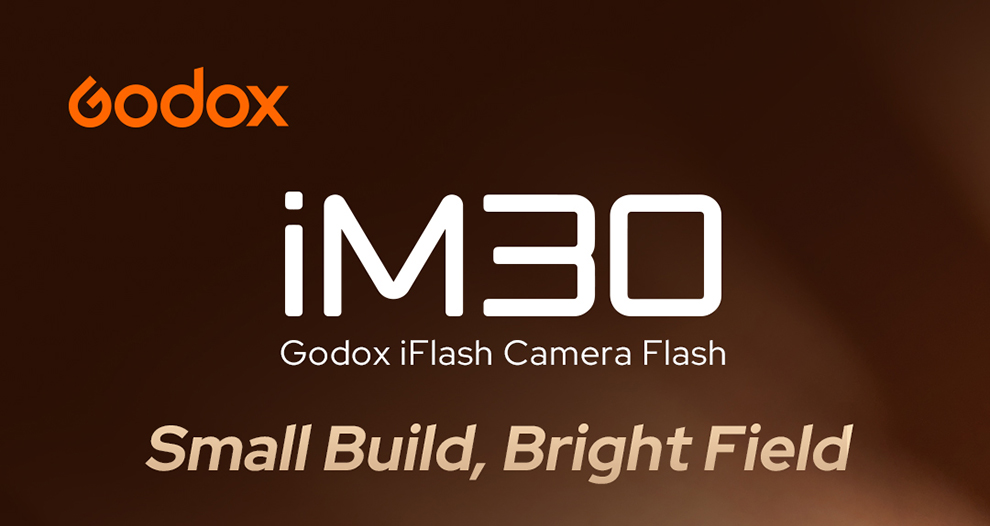 Godox IM30 Flash Camera Flash | Shopee Philippines