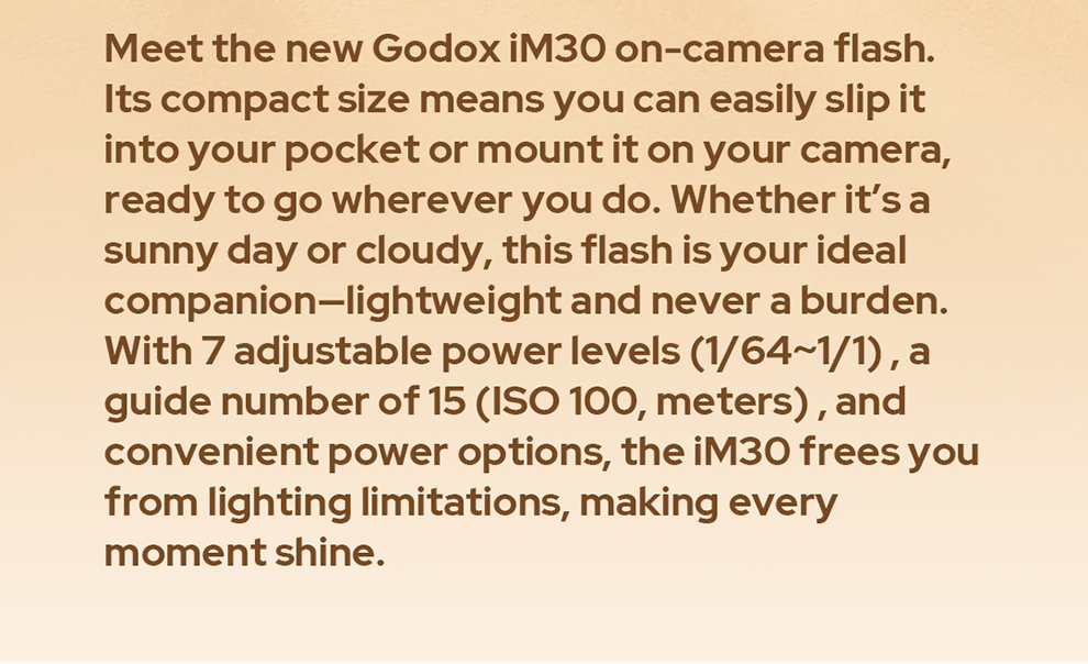 Godox IM30 Flash Camera Flash | Shopee Philippines