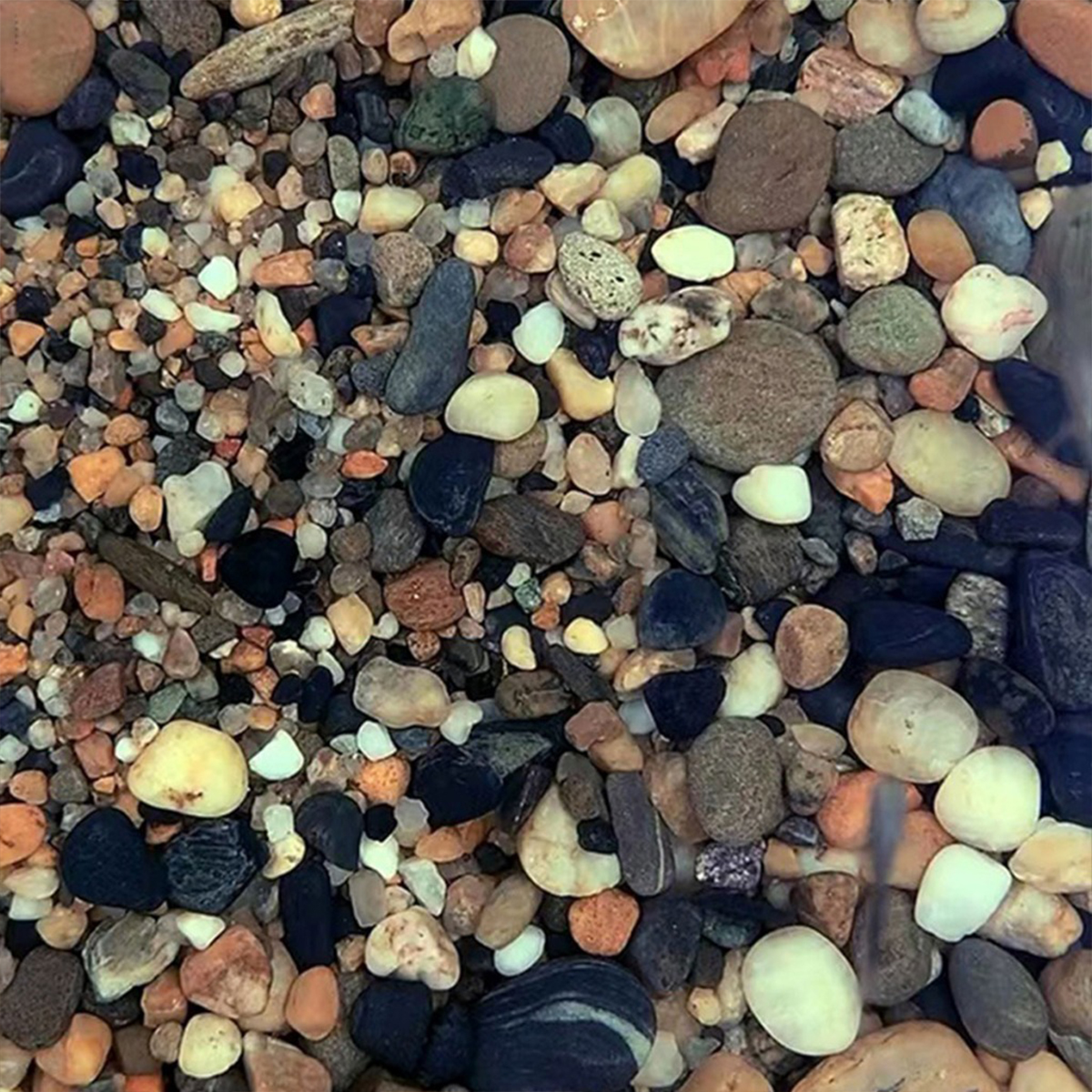 Aquarium Colorful Rocks Pebble Stone For Fish Tank Fish Tank Bottom ...