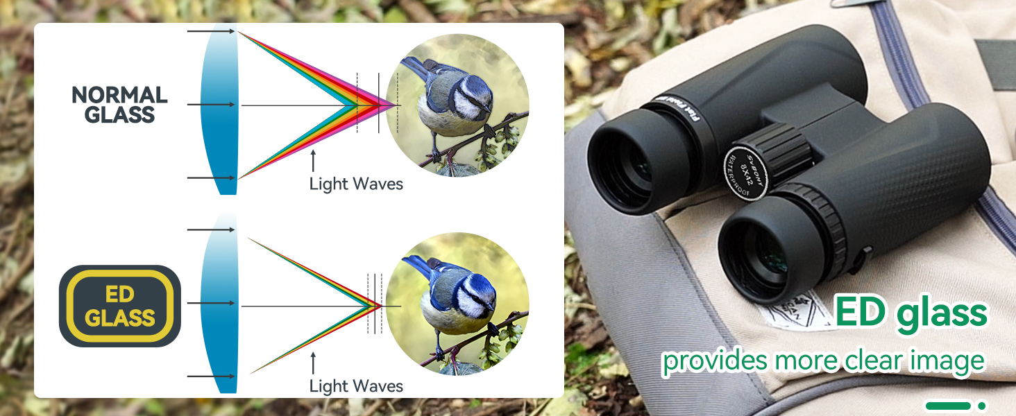SVBONY SA205 8x42 ED Glass Flat-field Binoculars IP67 Waterproof And Bk-4 - View #10
