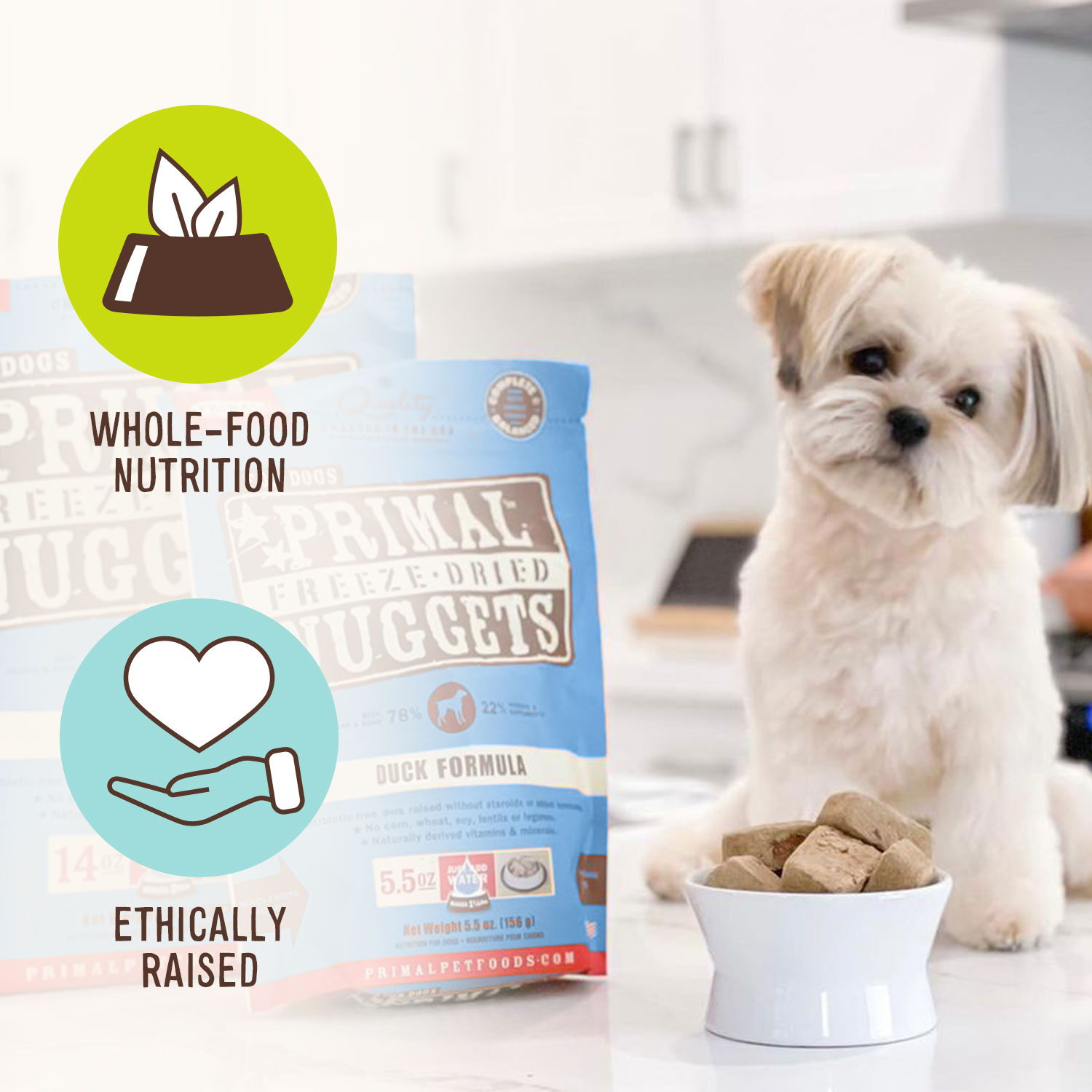 Primal Freeze Dried Dog Food Nuggets, Complete Balanced Meal, Topper or