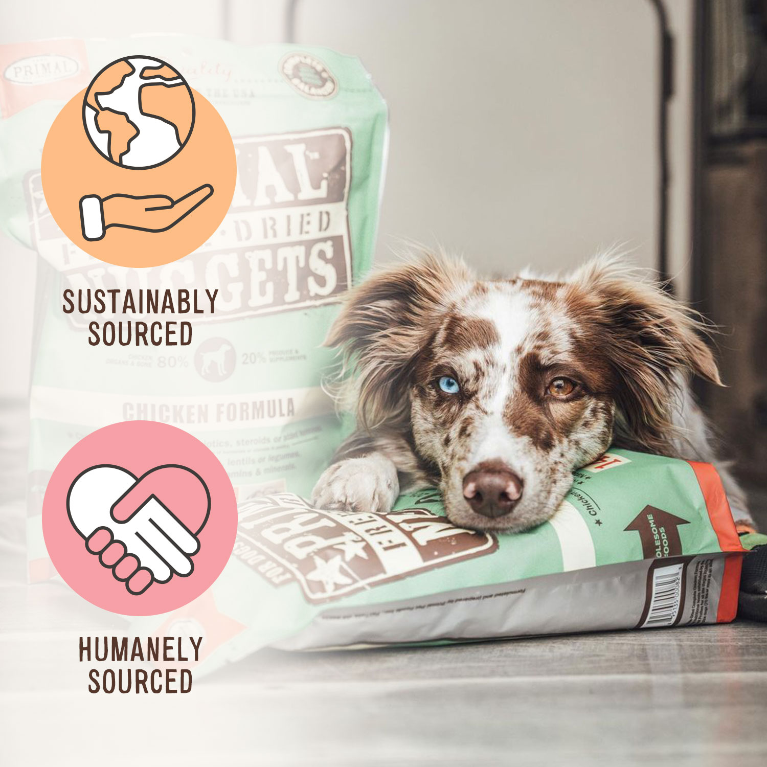 Primal Freeze Dried Dog Food Nuggets, Complete Balanced Meal, Topper or