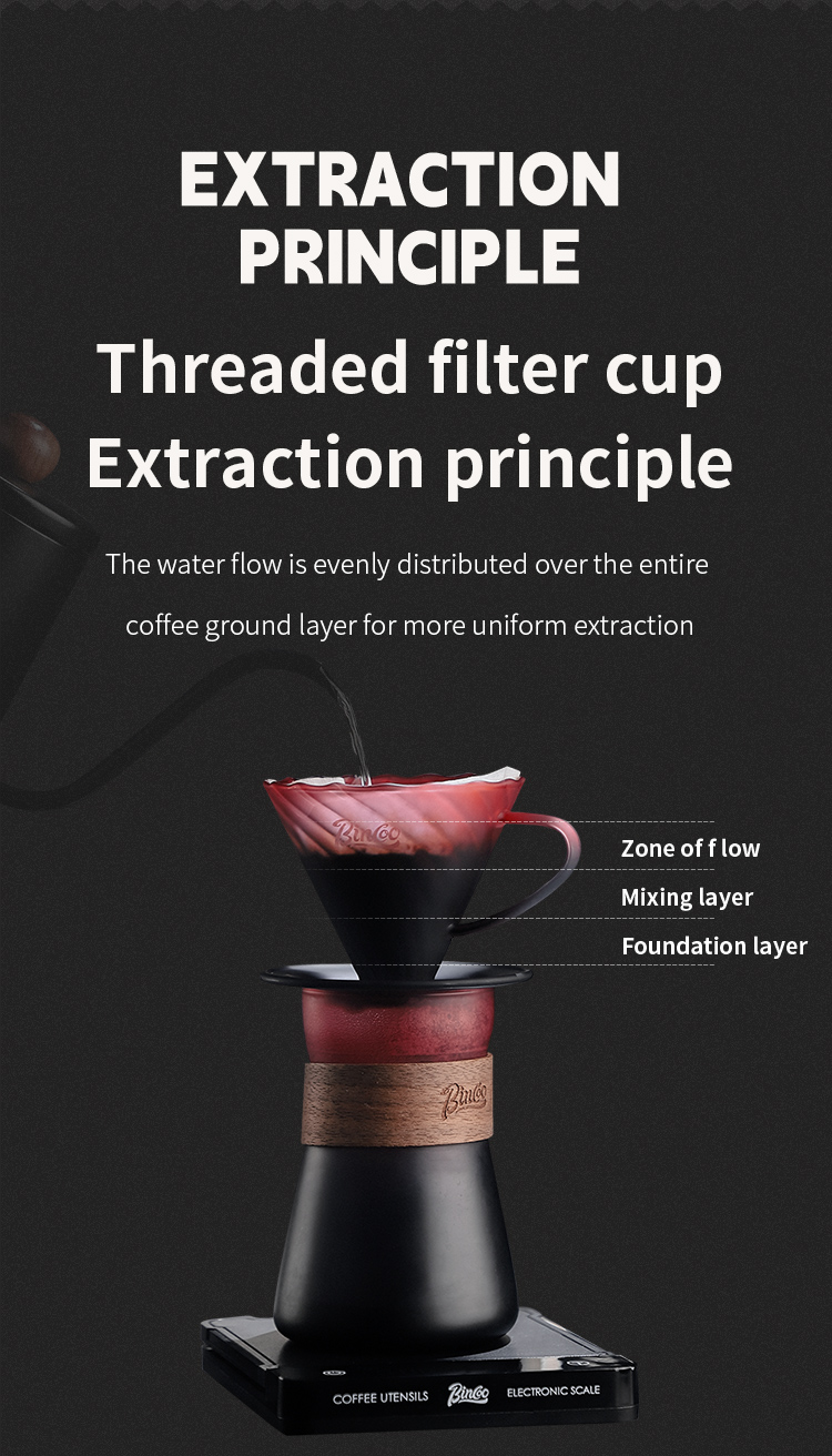 BINCOO Hand Brewed Coffee Filter Cup v60 Borosilicate Glass Heat