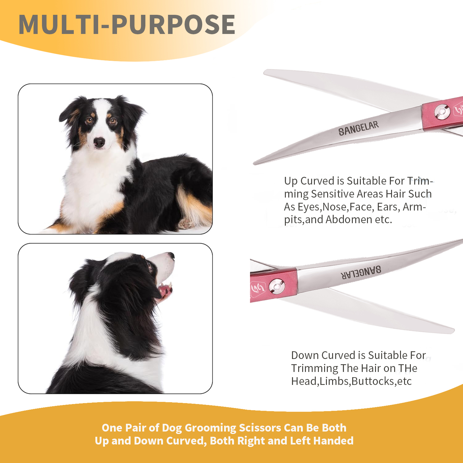Photo inspiration: Fresh Look at Sangelar 6 5 Inch Pet Grooming Curved Scissors Ideal Tool