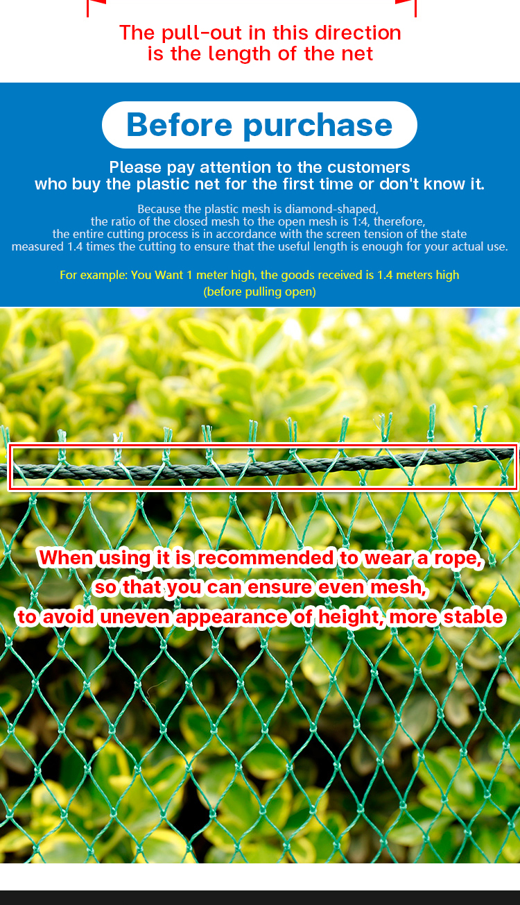 Free rope 50/100/200M Chicken Net Range Net For Chicken Lambat Outdoor ...