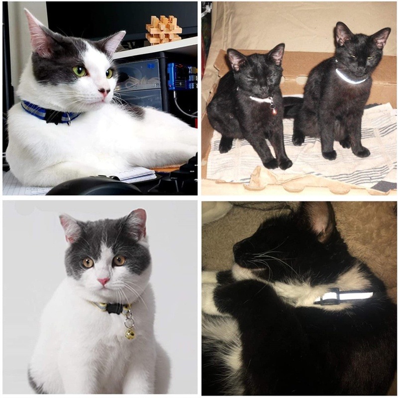 Dog Collar Pet Cat Collar Adjustable Safety Reflection Collars with ...