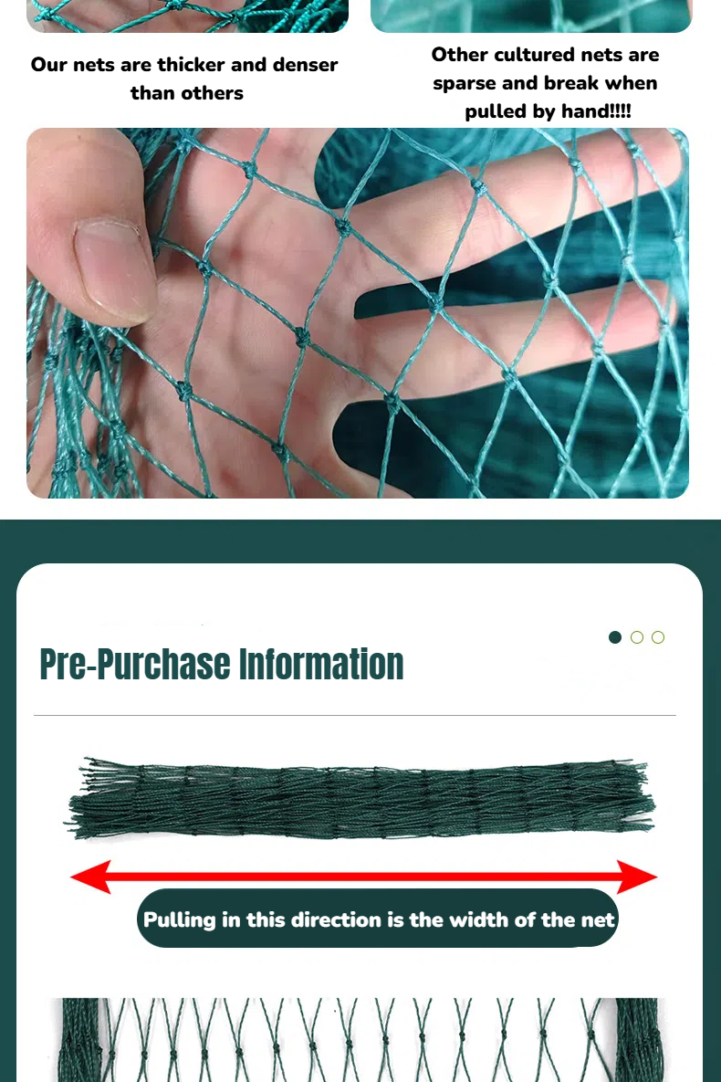 50/100meters-1.5 inch x9ft-Range Net/Chicken Net/Poultry Net/Fishing ...