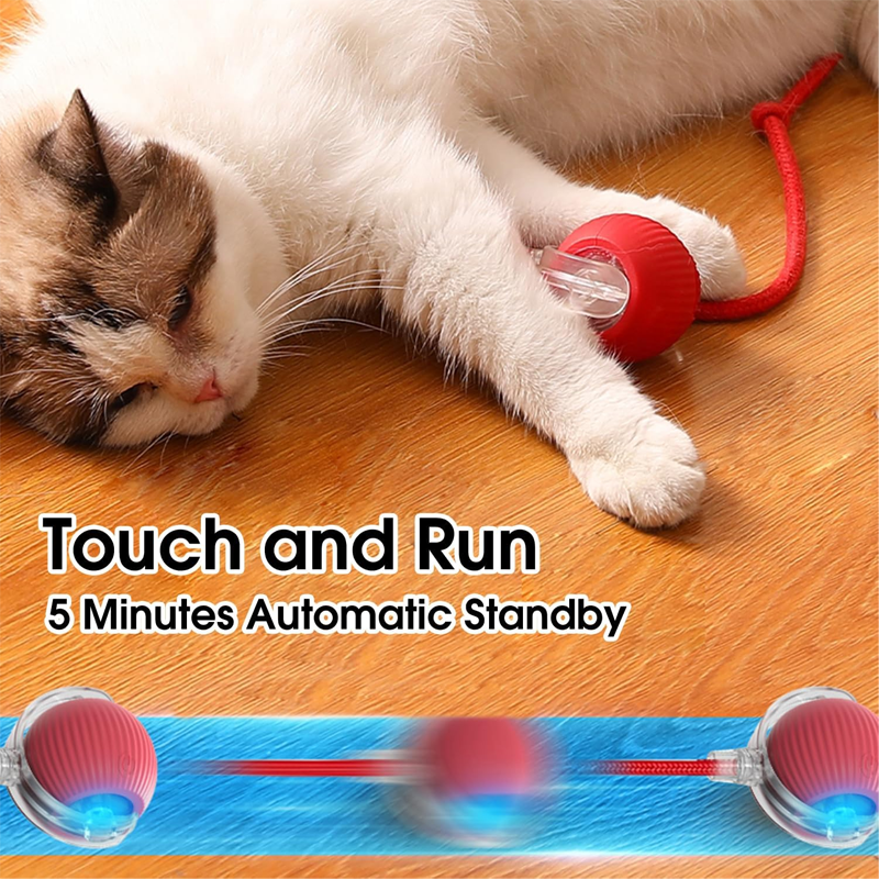 Cat Toy Interactive Ball Auto Electric Rolling Ball For Cats/Dog Pets ...