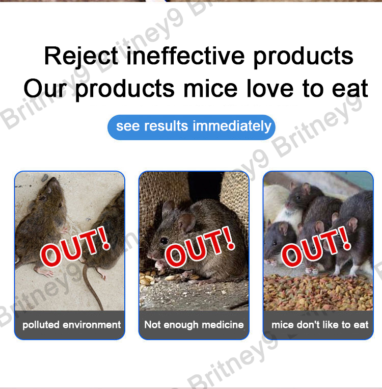 『BUY 3 TAKE 2』Rat Killer Poison Effective Mice Killing Poison Safety to ...