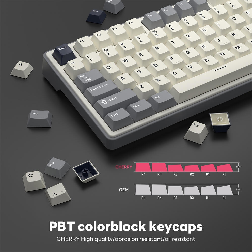 Royal Kludge RK R87PRO 87 Key Wired Professional Game Hotswap ...