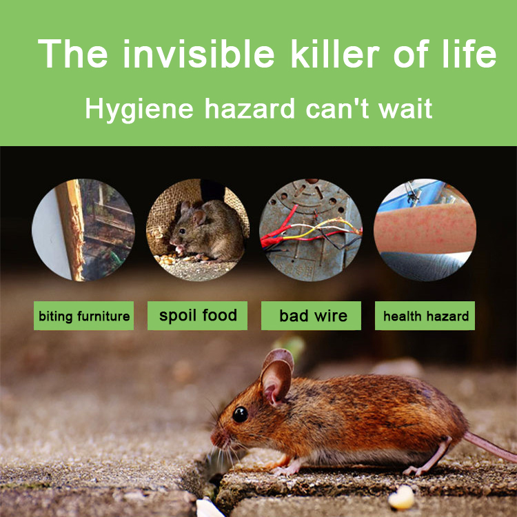 【Buy 5 Take 5】Rat Killer Poison Lure that Mice Like to Eat Effective ...