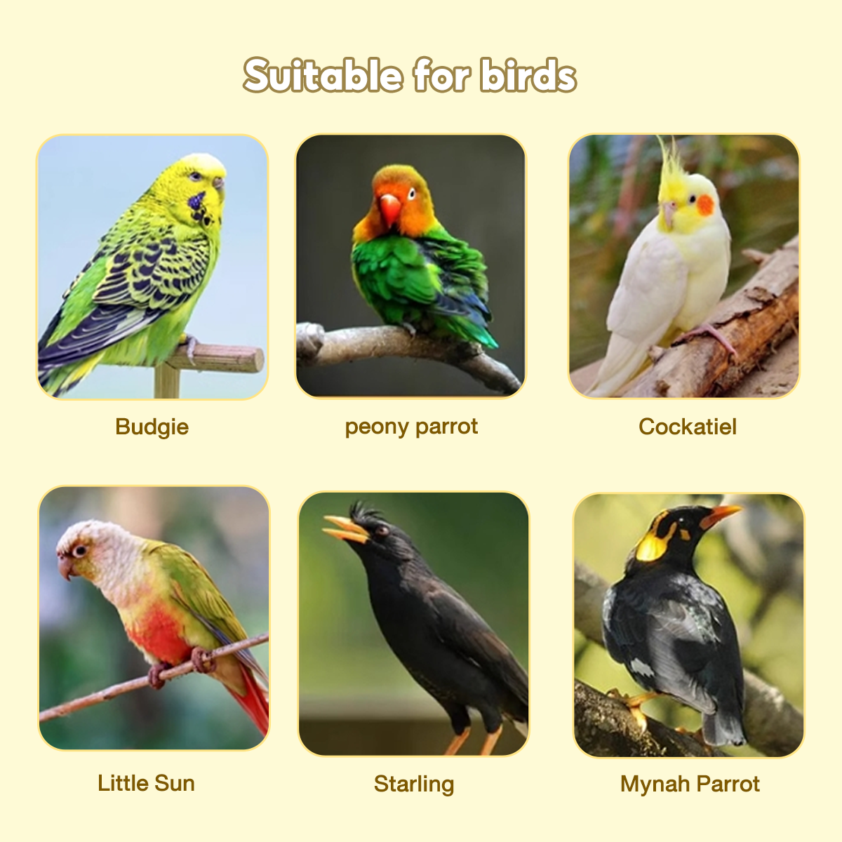 【Ready Stock】Gold Bird Cage Extra Large Space Parrot Cage Parrot Cage ...