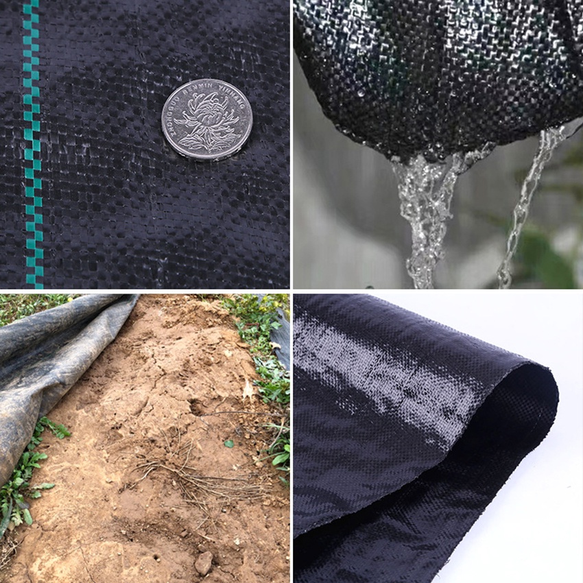 50M-10M Degradable Woven Weed Control Barrier Fabric Anti Grass Weeding ...