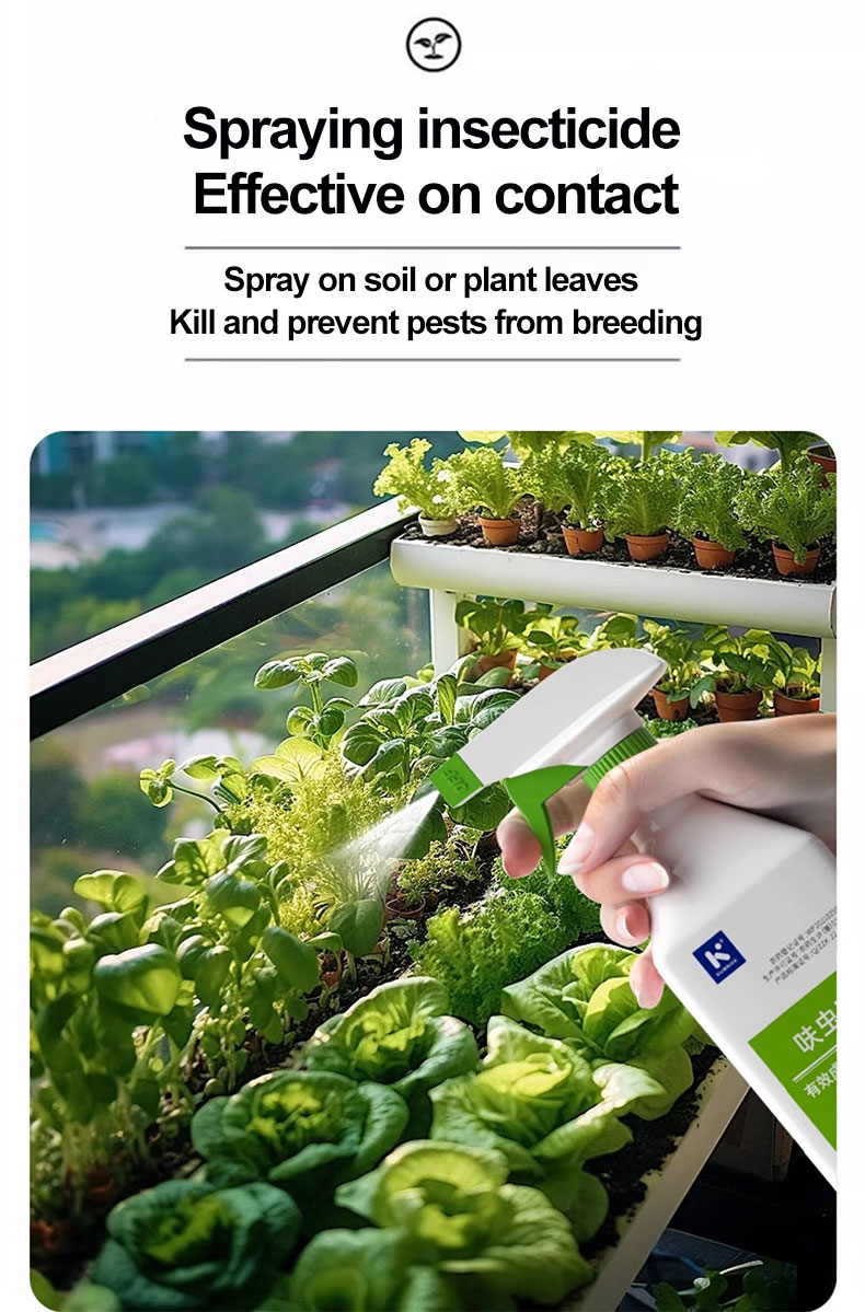 Kills insects without damaging plants 500ML Plant insecticide spray ...