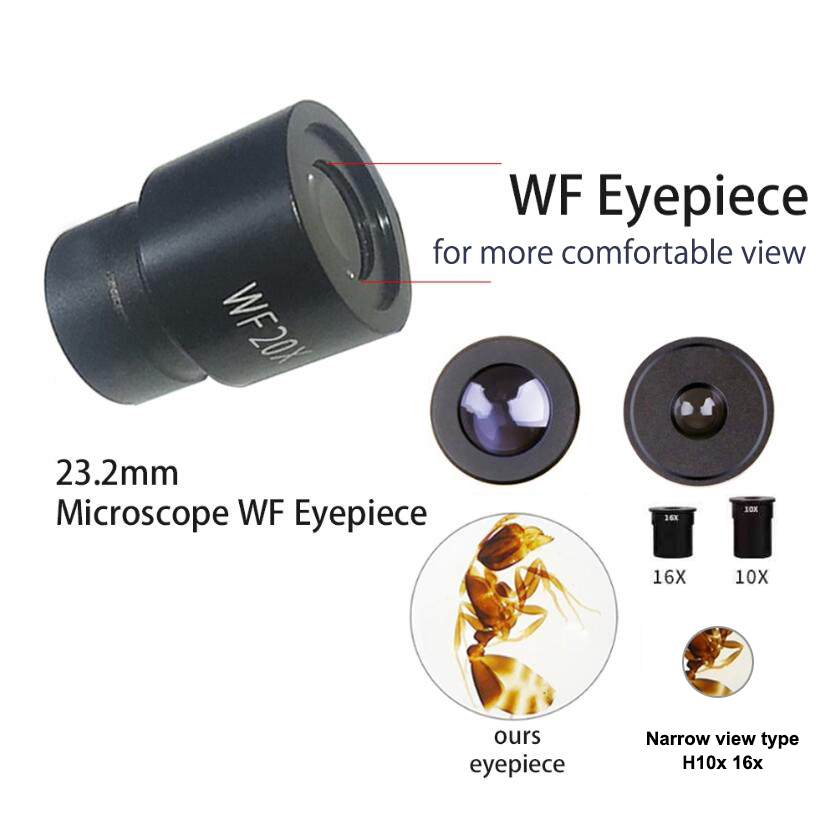 Professional Biological Microscope 40x-2400x Students Educational ...